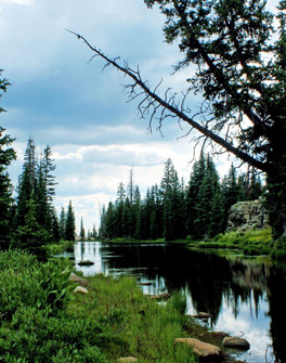 Natural Lakes