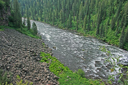 Freestone Streams