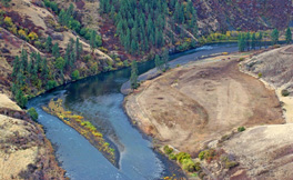 Panther Martins, Rooster Tails, Blue Fox, Mepps