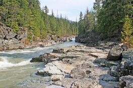 Panther Martins, Rooster Tails, Blue Fox, Mepps