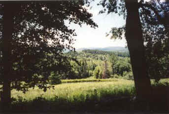 Vermont Hill Scene from the Woods