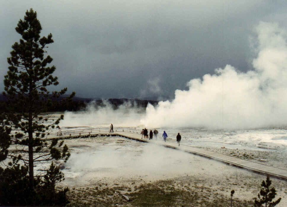 Geyser Basin