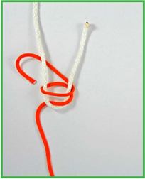 Double Sheet Bend