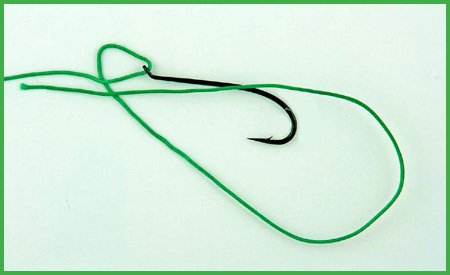 Nail Knot with a Loop Tying on a Hook