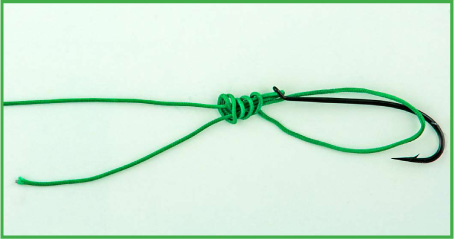 Nail Knot with a Loop Tying on a Hook