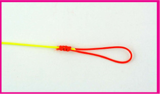 Mono Loop to Fly Line - Favorite Knots for Sports - Love The Outdoors