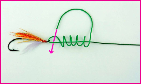 Clinch Knot (Half Blood Knot)