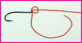 Clinch Half Blood Knot (Trilene)