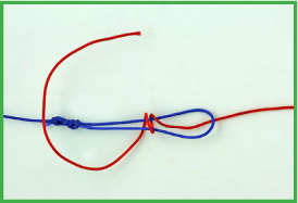 No-Name Knot