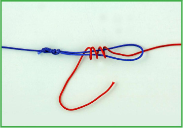 No-Name Knot