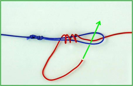 No-Name Knot