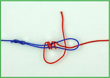No-Name Knot