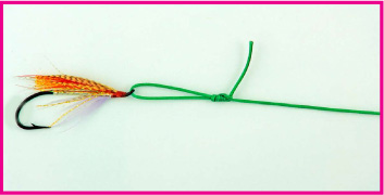 Uni-Knot (Duncan Loop, Paragum, Hangmans Noose, Grinner Knot, and Grapevine Knot)