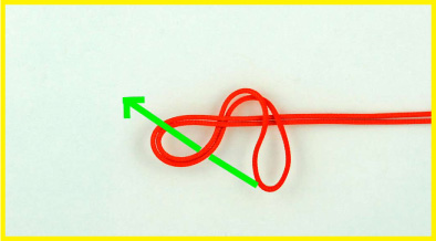 Blood Bight Knot (Figure 8 Loop in the Bight)