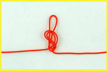 Blood Bight Knot (Figure 8 Loop in the Bight)