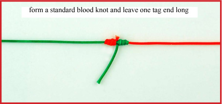 Blood Knot Dropper