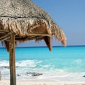 How to Build Your Own Outdoor Shelter