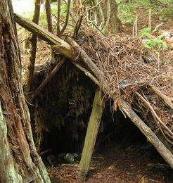 lean-to shelter