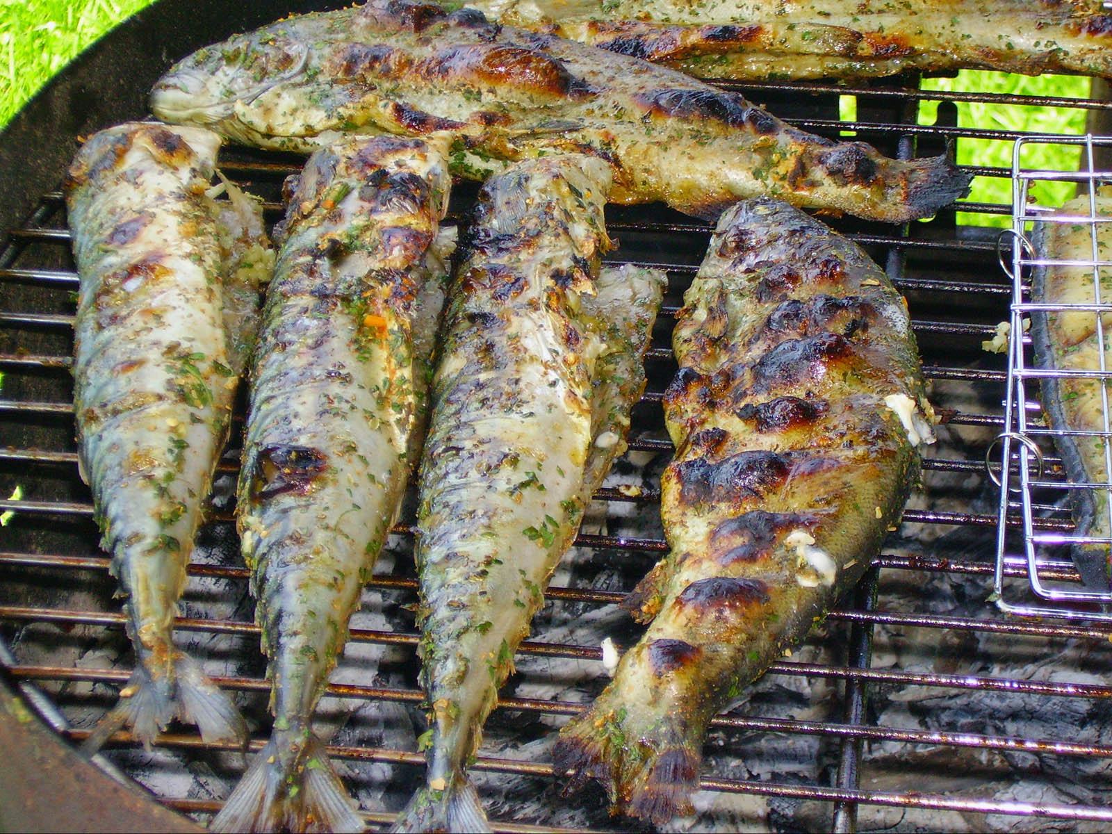 How to Cook Fish Over a Campfire Love The Outdoors