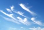 Cirrus clouds