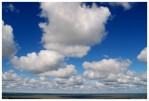 Cumulus clouds