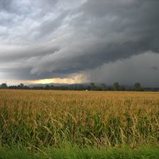 Spring Storm