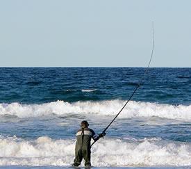 A Man Surf Casting/Fishing