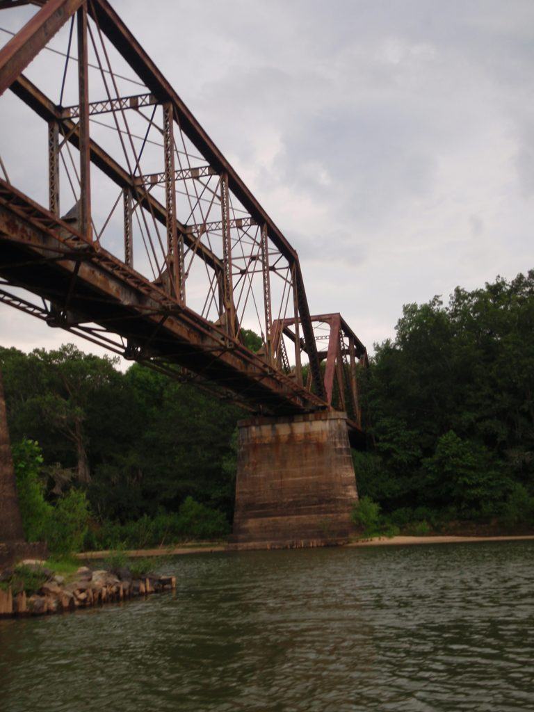 Altamaha River Love The Outdoors