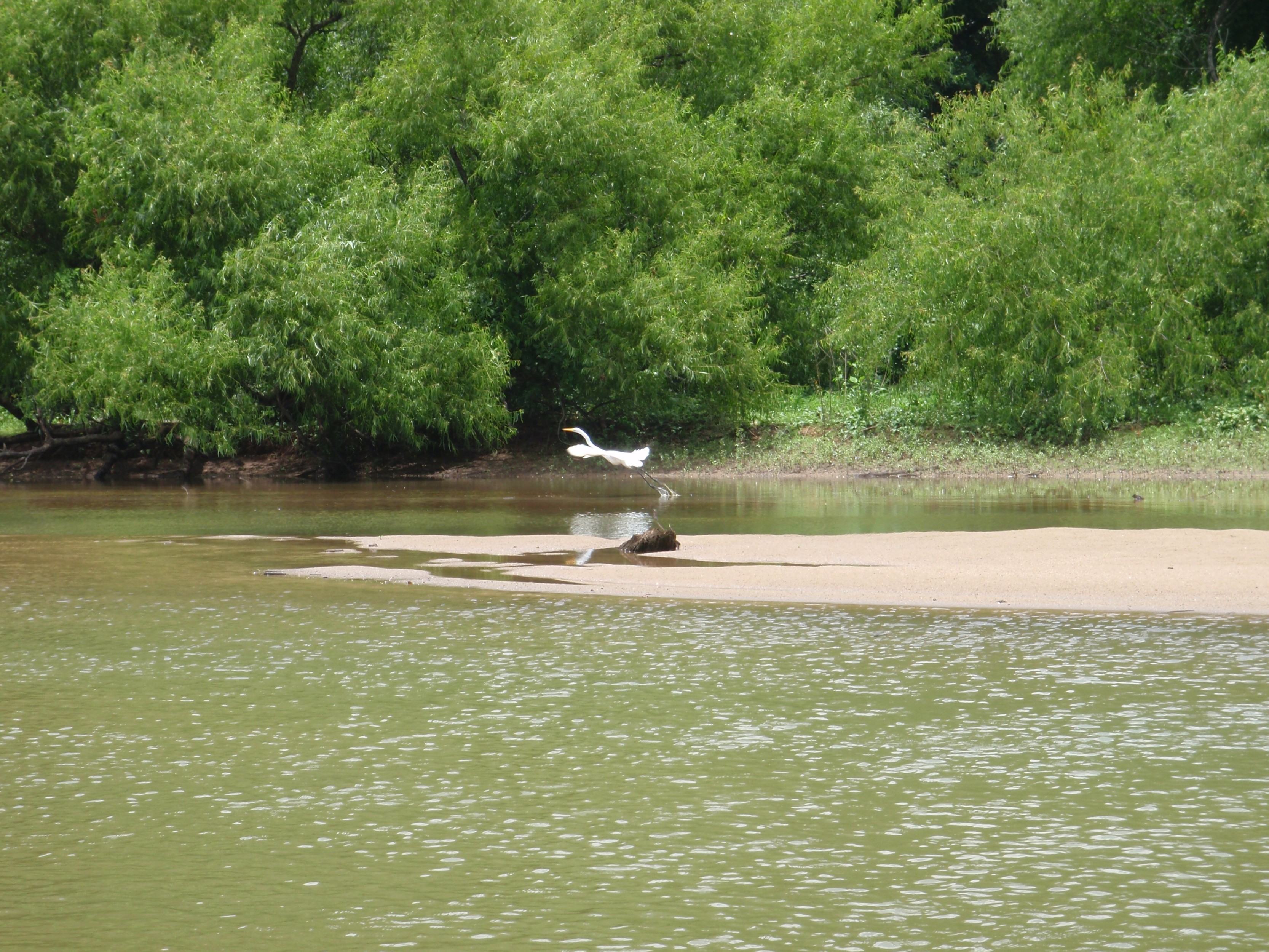 Escape to the Heart of Georgia: Altamaha River Campground, Your Gateway to Nature's Embrace