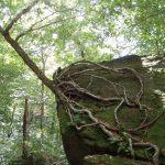 Smugglers Notch